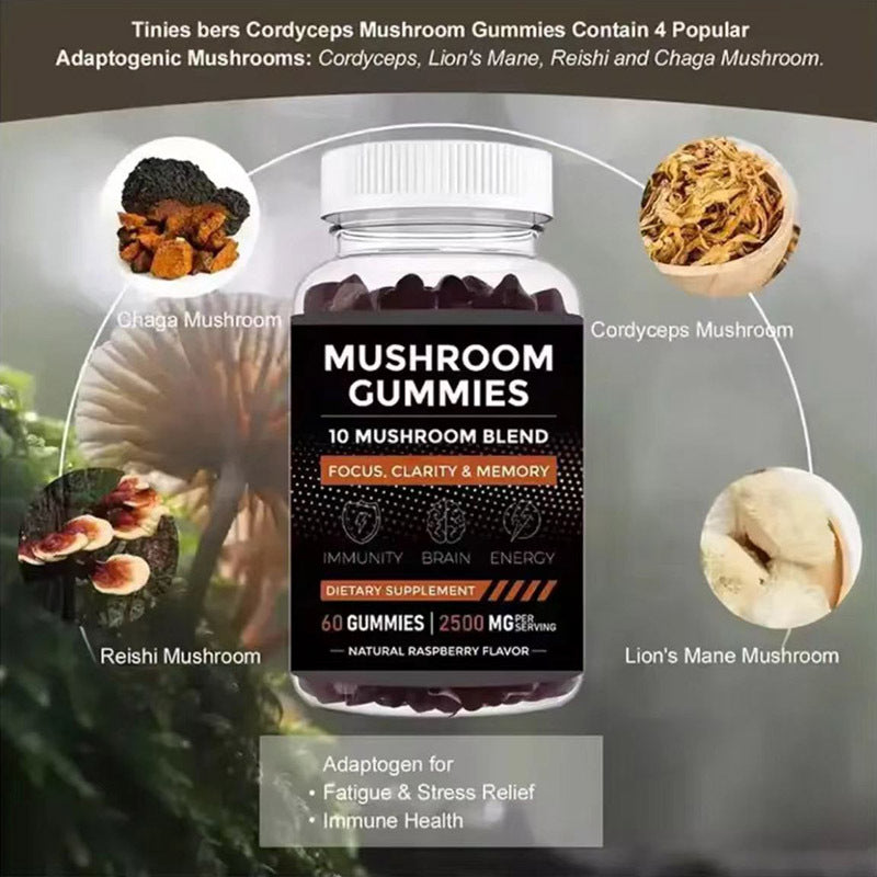 Evora Mushroom Gummies – Daily Focus & Wellness Blend