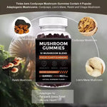 Evora Mushroom Gummies – Daily Focus & Wellness Blend