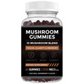 Evora Mushroom Gummies – Daily Focus & Wellness Blend